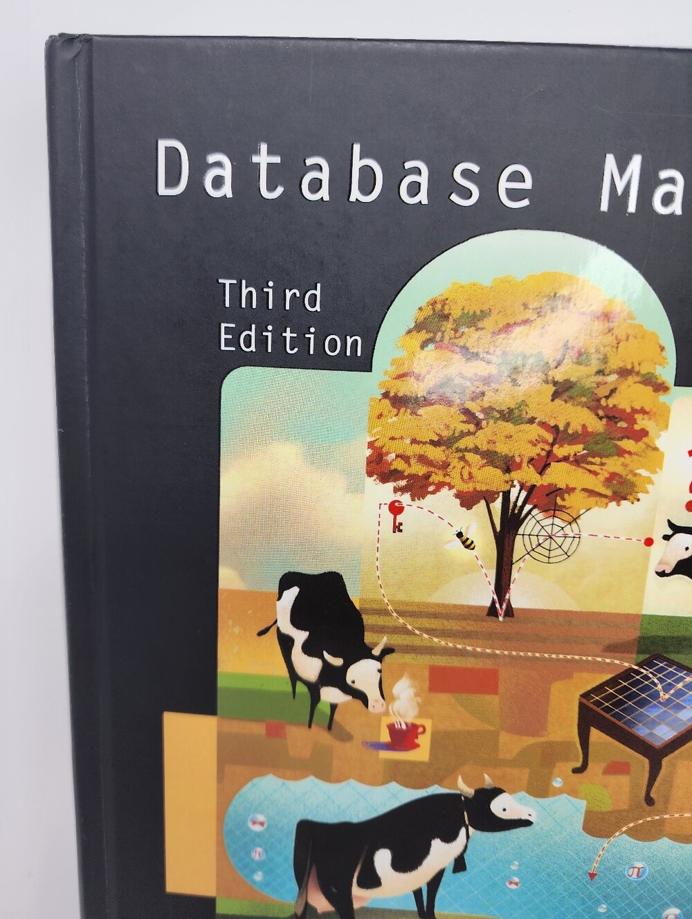 Database Management Systems Third Edition Hardback Textbook - Picture 3 of 11